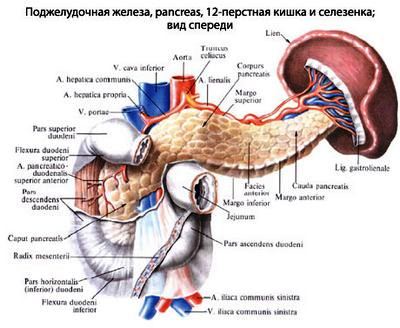 Лечение рака двенадцатиперстной кишки в Израиле